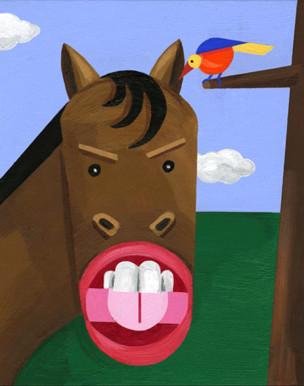 Funny Horse Cartoon Animated GIFs Collection | GraphicMama